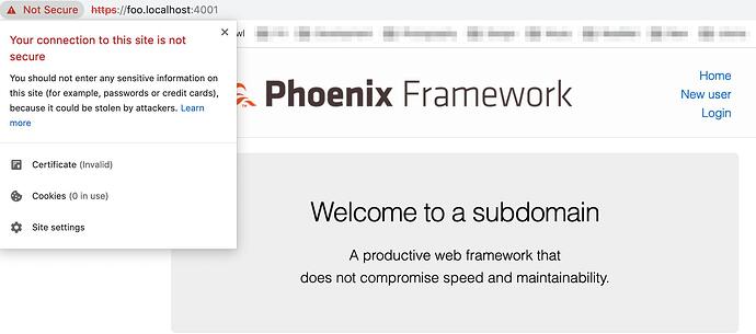 ElixirGroup_%C2%B7_Phoenix_Framework