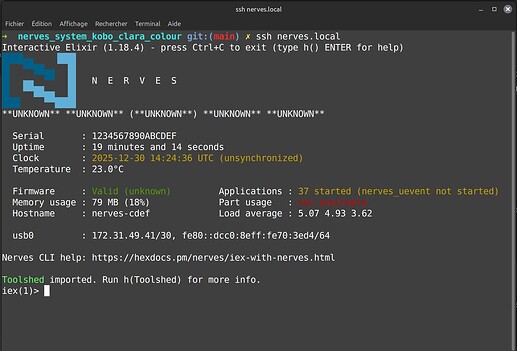 nerves_kobo_clara_colour