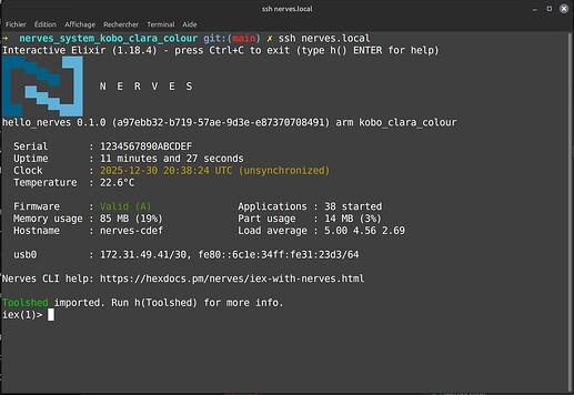 nerves_kobo_clara_colour_3