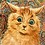 mexicat