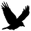 SeanShubin
